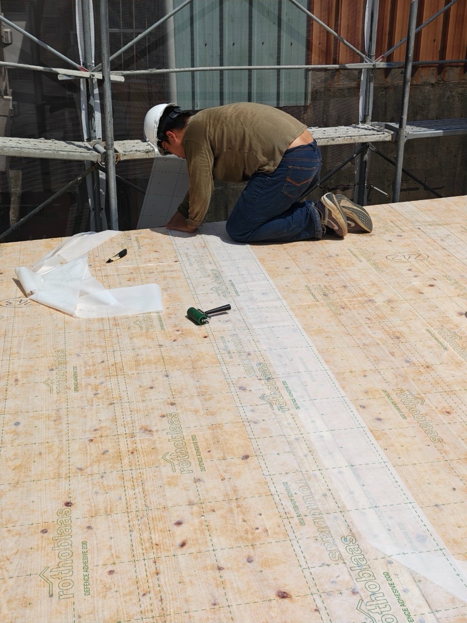 技術專題|巨木(Mass Timber)建物之施工防潮管理